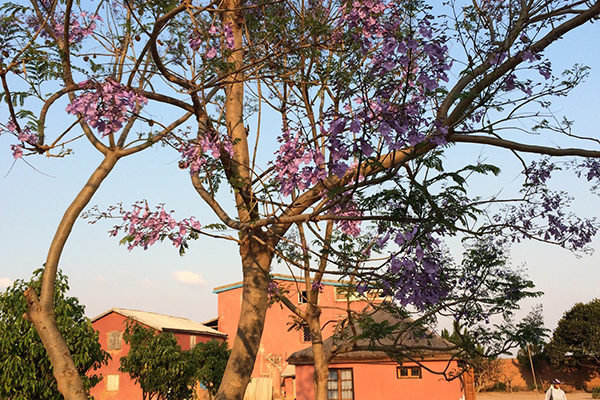 Institution Sainte Croix à Provins soutien Madagascar